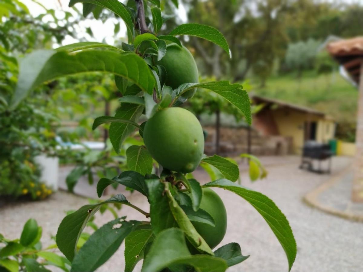 Гостевой дом Casa Rural El Bonito Казалла де ла Сиерра Экстерьер фото