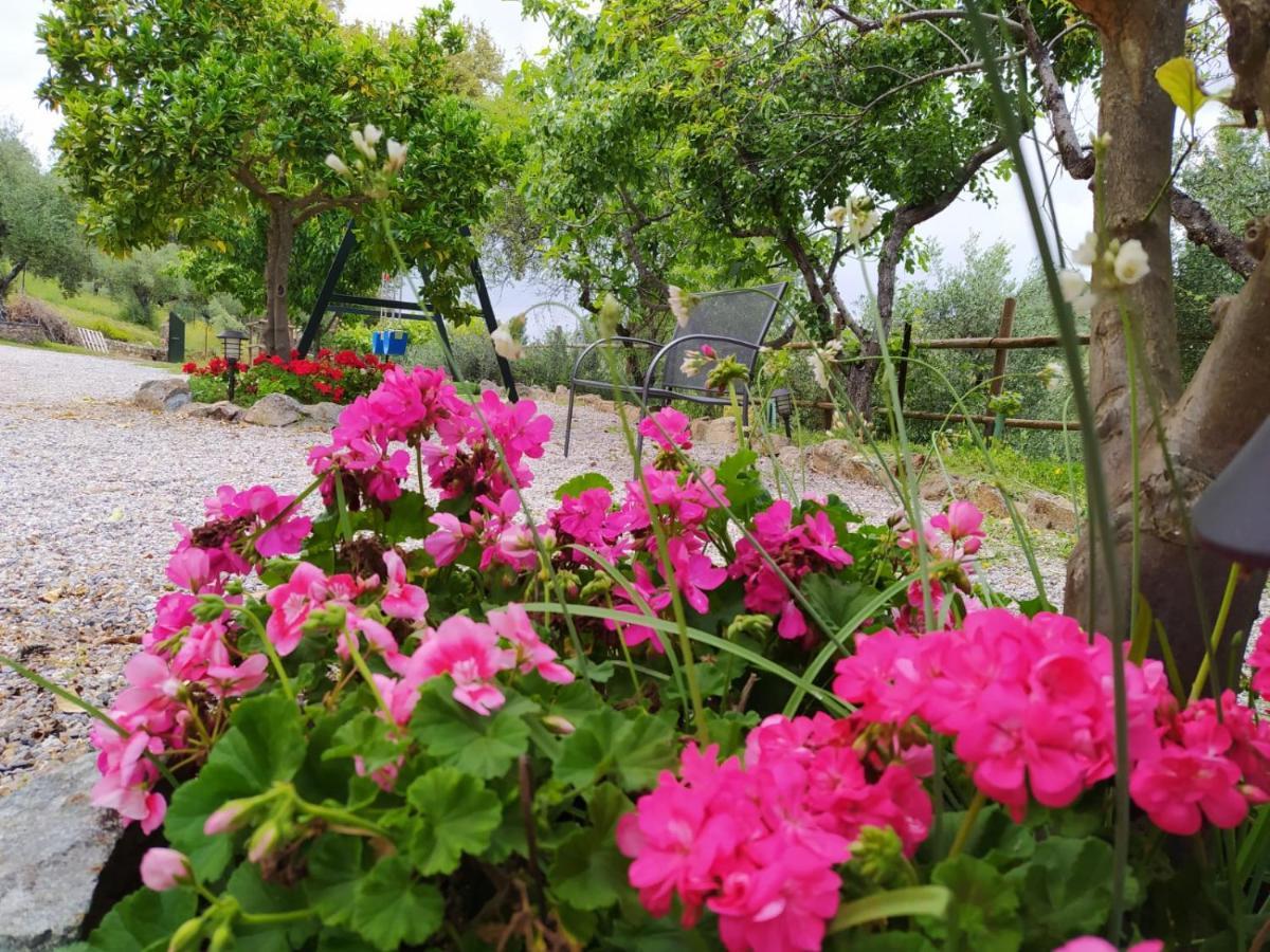 Гостевой дом Casa Rural El Bonito Казалла де ла Сиерра Экстерьер фото